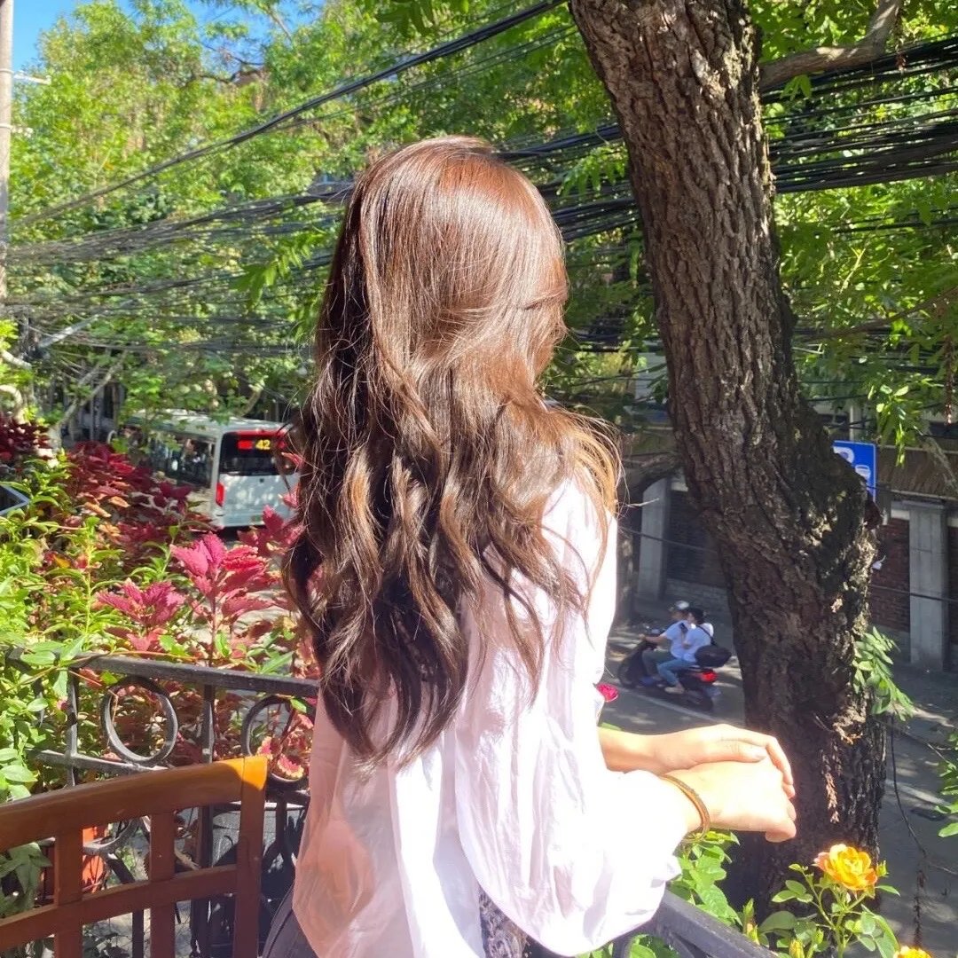 夏日的玫瑰封面
