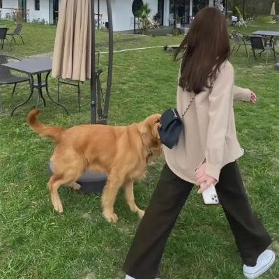 大巫歌：恨与兴封面